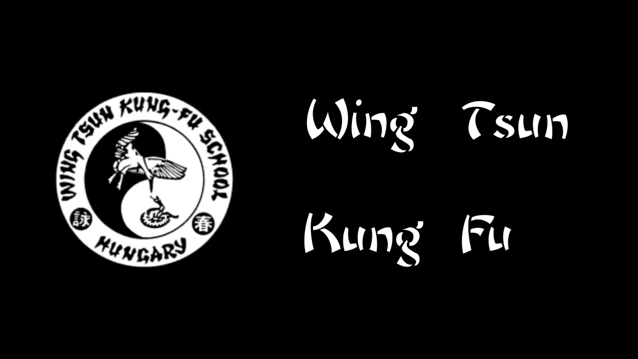 Wing Tsun Kung Fu
